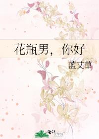 伪装花瓶男主