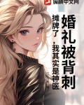 婚礼背后小说