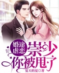 婚途虐恋:崇少,你被甩了