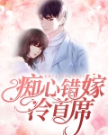 痴心错嫁冷首席