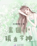 回到小镇生活
