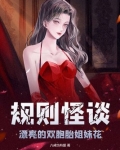 规则怪谈:漂亮的双胞胎姐妹花 第294章
