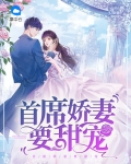 娇妻总裁甜宠