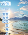 人家海上讨生活,我出海去进货 小说下载