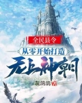全民县令:从零开始打造无上神朝!