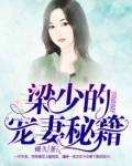 梁少的宠妻秘籍