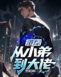 港综:从小弟到大佬