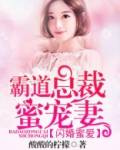 闪婚蜜爱:霸道总裁蜜宠妻