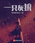 一只灰狼 爱穹妹的秋言